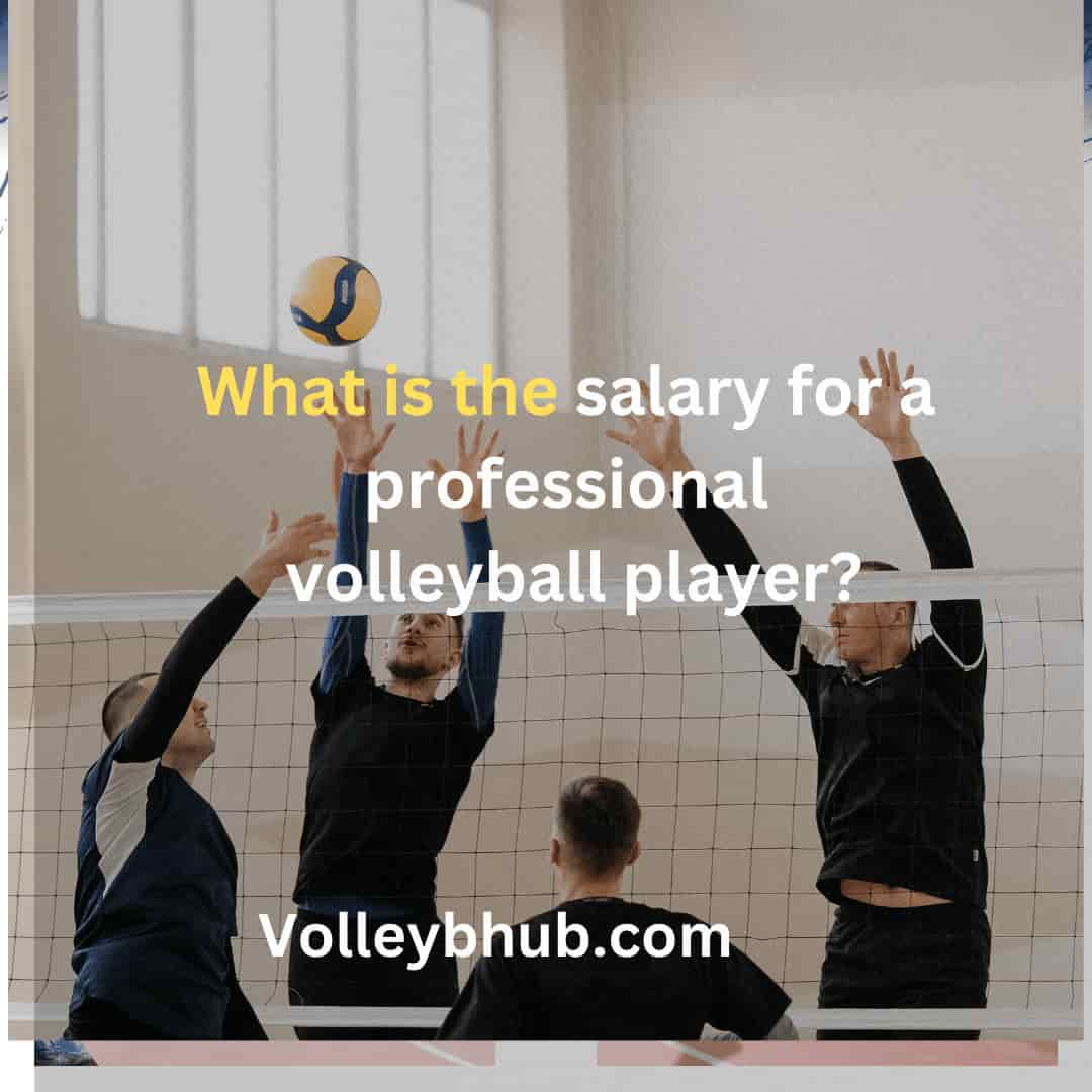 What is the salary for a professional volleyball player?