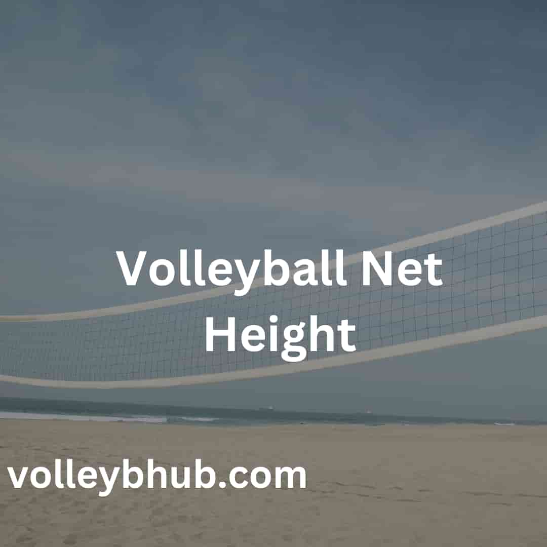 Volleyball Net Height Net details