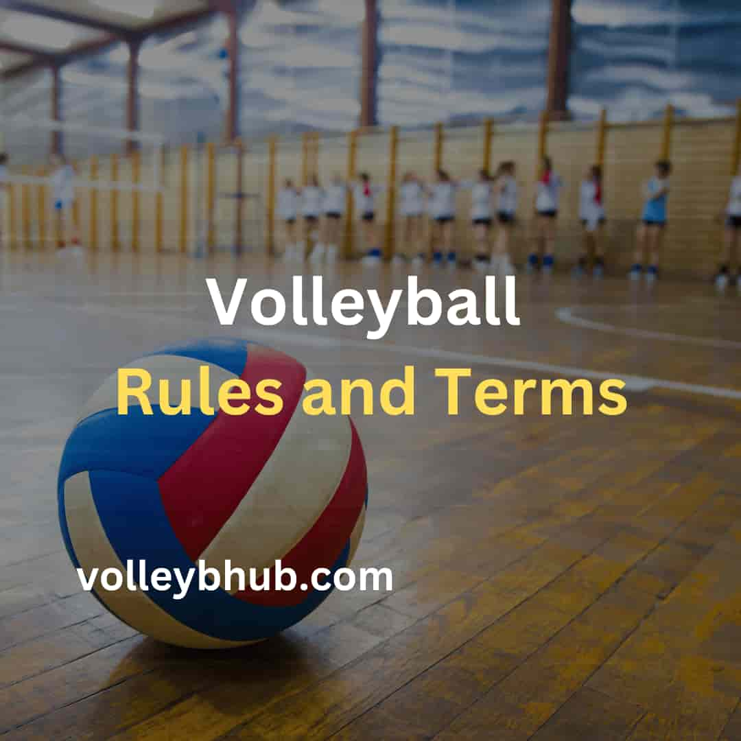 "Volleyball court with ball and educational text about rules and terms, for