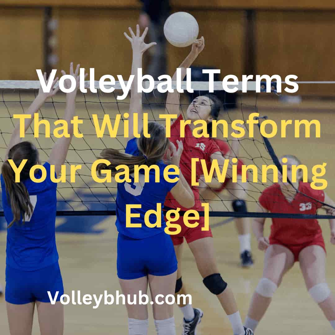 Volleyball Terms That Will Transform Your Game [Winning Edge]